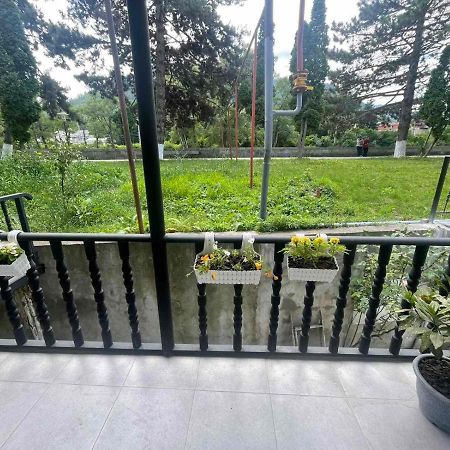New Borjomi Apartment Ngoại thất bức ảnh