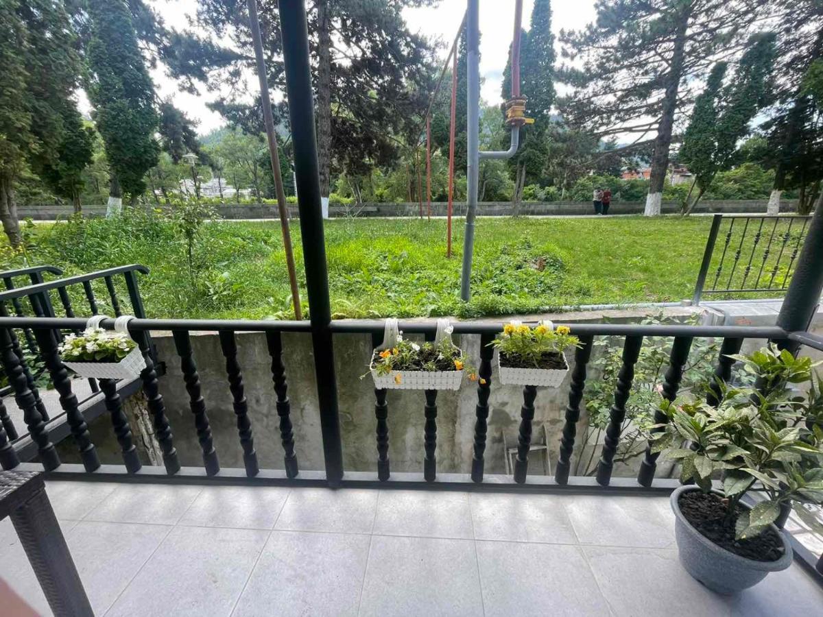 New Borjomi Apartment Ngoại thất bức ảnh
